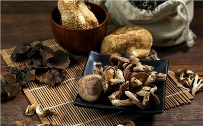 Probiotics and Mushrooms