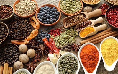 Plant Seed and Dry Fruits